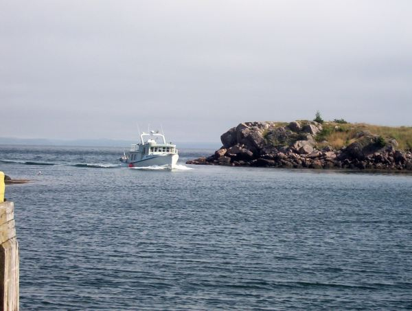 604: The "William &amp;amp; Margaret" entering Red Island harbour. (2003) [courtesy of Stephen Mulrooney]